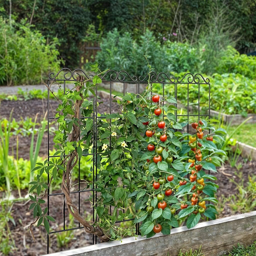 HASTHIP Metal Garden Trellis for Climbing Plants with Insert Support 50x15 cm | Weather‑Resistant 2 Pack