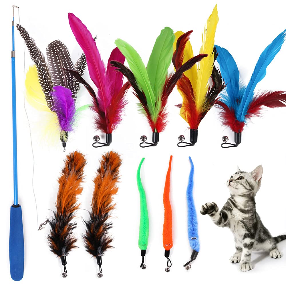 HASTHIP® Cat Toys - Interactive 11 Piece Cat Toy Set with Retractable Wands and Feather Worm Toys - Kitten Toys Variety of Vibrant Colours - Activity Toys to Exercise Cats and Kittens