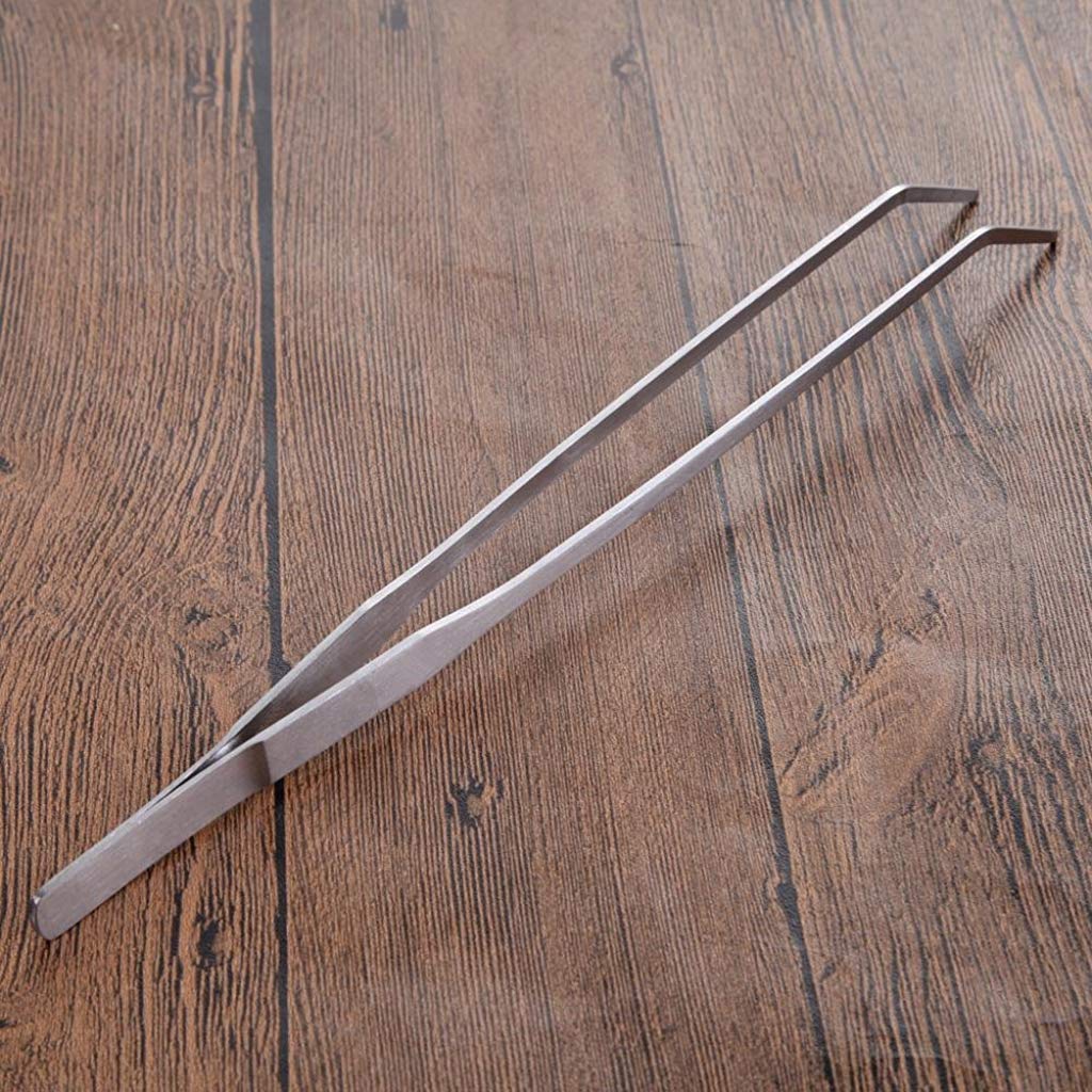HASTHIP Tweezers for Aquarium with Straight Design and 27cm Size | Stainless Steel 2 PCS