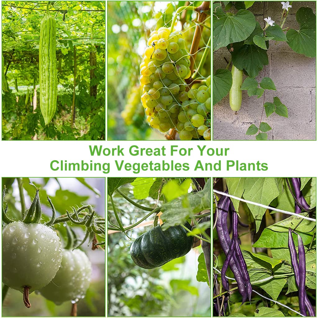 HASTHIP Plant Support Net for Climbing Plants with 5×30 ft Trellis Grid and UV‑Resistant Polypropylene