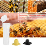 HASTHIP Queen Bee Cages for Safe Introduction with Candy Plug Bottom and Vented Design | 10Pcs 2.6cm x 7.8cm Reusable Plastic