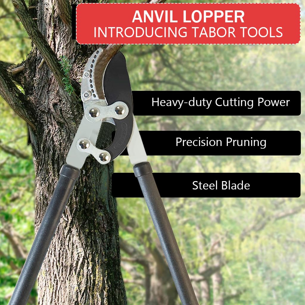 HASTHIP Branch Cutter for Thick Branches with 30in Handle and SK5 Steel Blade | 2in Cut Capacity
