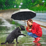 HASTHIP® Folding Umbrella for Women Rain & Sun Proof, UV Umbrella with 8 Strong Fiber Ribs, Gradient Modern Style Umbrella for Travel Lightweight Umbrella