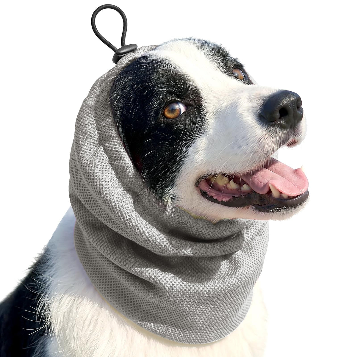 HASTHIP® Breathable Dog Ear Snood Cover, Lightweight Mesh Long Ear Protector, Adjustable Anti-Mosquito Hood for Dogs and Cats, Ideal for Cocker Spaniel, Cavalier, Basset, Summer Pet Grooming