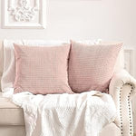 HASTHIP® 2Pcs Pillowcases Throw Pillow Covers, 15.7 inch Square Decorative Couch Pillow Covers Zip Pillow Covers, Pink Polar Fleece Pillow Covers, Removable, Easy to Clean
