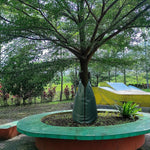HASTHIP Tree Watering Dropper Bag for Trees and Shrubs featuring 75L Capacity and PE UV‑Resistant Material | Slow Release Hydration System