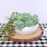 11Pcs Artificial Succulent Plants, Faux Succulent in Flocked Green in Different Type Different Size, Mini Artificial Plants Desk Decor, Computer Desktop Decoration
