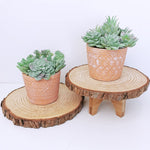 11Pcs Artificial Succulent Plants, Faux Succulent in Flocked Green in Different Type Different Size, Mini Artificial Plants Desk Decor, Computer Desktop Decoration