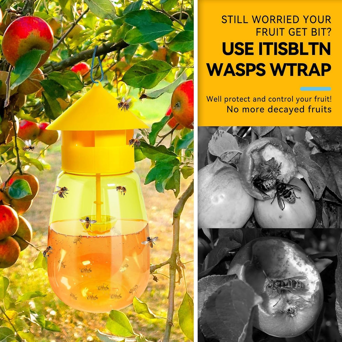 HASTHIP Fruit Fly Trap for Outdoor Use with 4 Entry Design | 2 Pcs Reusable Wasp Catcher