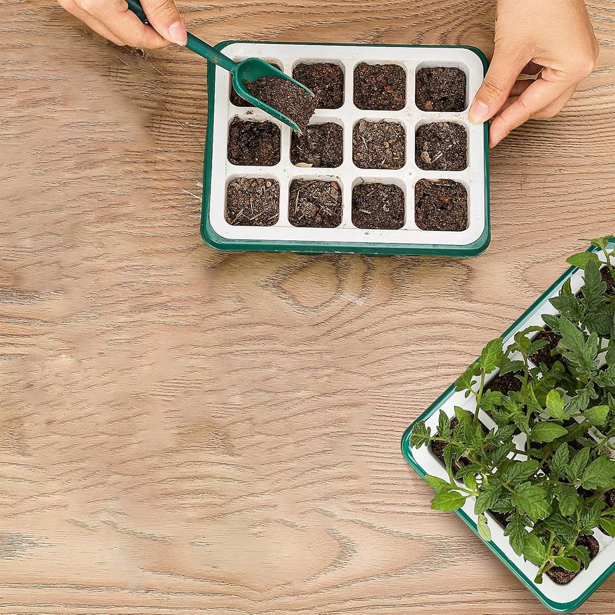 HASTHIP Seed Starter Tray for Germination with 12 Silicone Pots and Clear Vent Lid | Includes Drip Tray and Tools