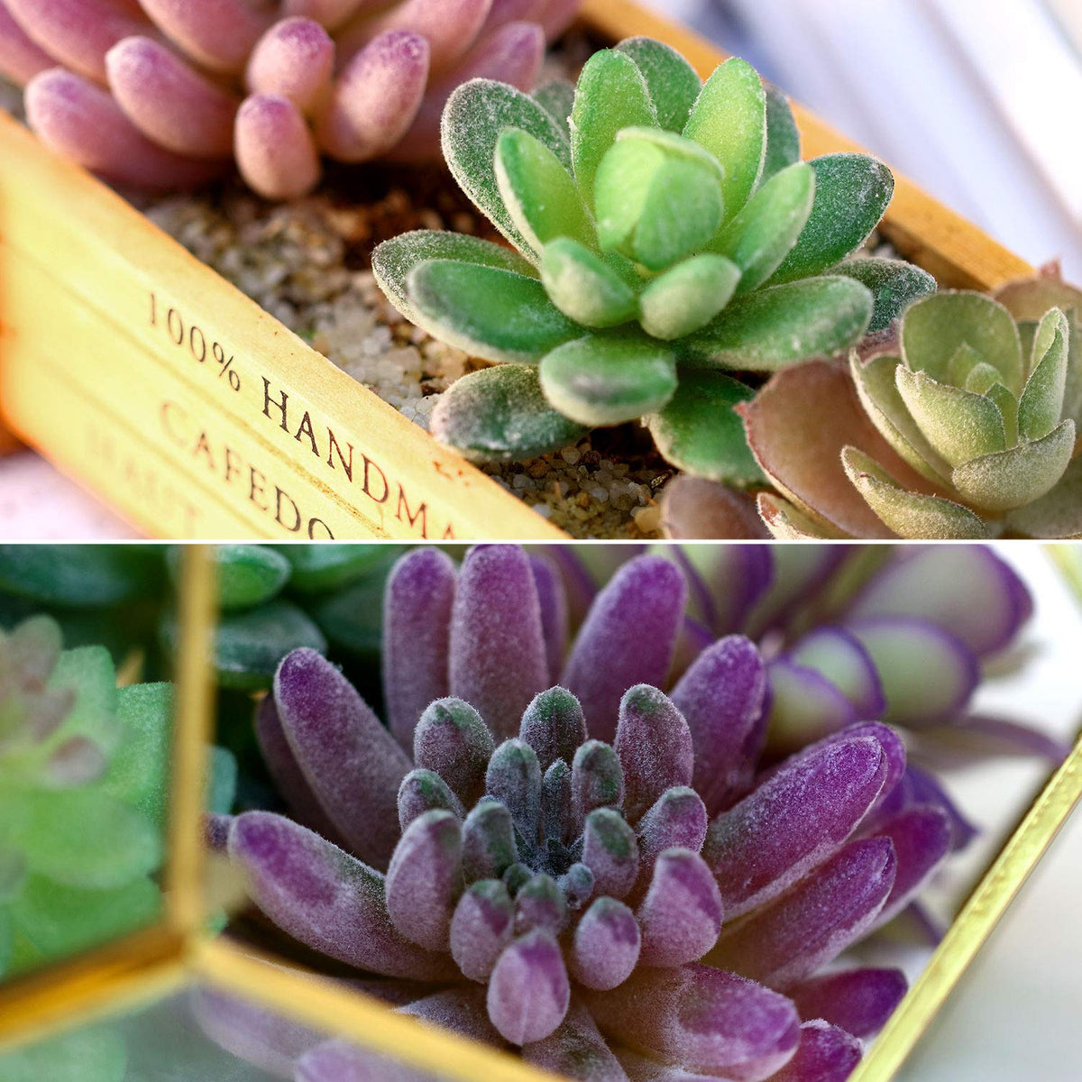 HASTHIP Artificial Plants for Home Decor with 16PCS Faux Succulent Set featuring Realistic PVC Texture | Indoor and Outdoor DIY Floral Arrangement