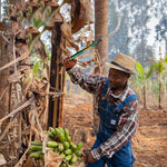 HASTHIP Sickle Weed Remover Tool for Harvesting and Weeding with 40cm Handle featuring Curved Steel Blade