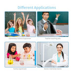 HASTHIP® Dental Teeth Model Teaching Kids to Brush Standard Dental Teeth Model Dentist Demonstration Denture Model for Studying, Displaying - 1