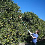 190cm Fruit Picker with Basket and Telescopic Pole, Fruit Plucker for Coconut, Mango and More, Easy to Use Fruits Catcher Tree Picker