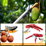 HASTHIP® Extendable Tree Pruning Trimmer5.9-9.8ft Telescopic Fruit Tree Branch Cutter with Saw Blade SK5 Heavy Duty Long Handle Tree Pruning Trimmer Gardening Tree Trimmer