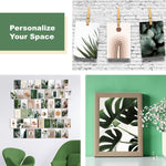 HASTHIP Wall Sticker Photo Display for Room Decor with 50 Sheet 4x6 in Art Cards | Forest and Desert Collection