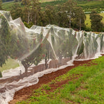 HASTHIP Garden Mesh Netting for Plant Protection 8ft x16ft with Fine Mesh PE Cover | Allows Sunlight and Air Flow