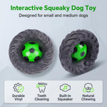 HASTHIP Squeaky Chew Ball – Interactive Dog Toy with Teeth-Cleaning Texture