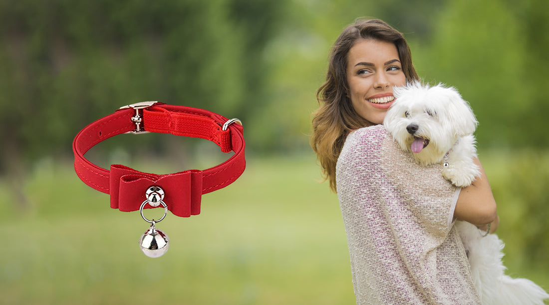 Experience Endless Adventures with Adjustable Cat Belt