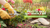 The Little Tool That Makes a Big Difference in Your Garden