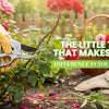 The Little Tool That Makes a Big Difference in Your Garden