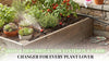 Why a Drip Irrigation System Is a Game Changer for Every Plant Lover