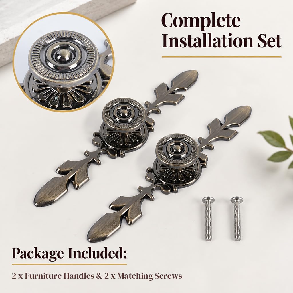 HASTHIP 2-Piece Carved Cabinet Pulls in Oil-Rubbed Bronze, Aluminum Alloy with Mounting Screws