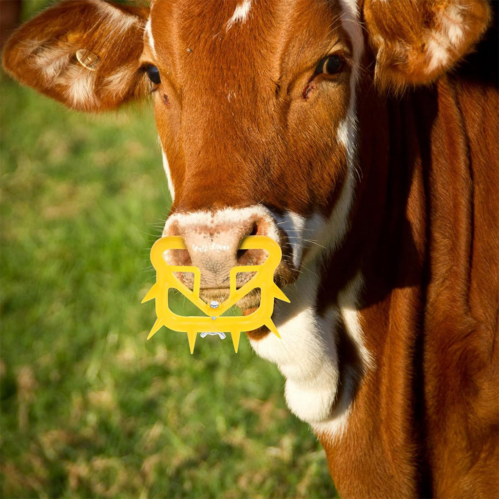 HASTHIP® 4Pcs Cattle Weaning Ring Spiky Weaning Nose Ring for Cattle Durable Plastic PVC Removable Screwing Fix Adjustable Weaning Nose Rings