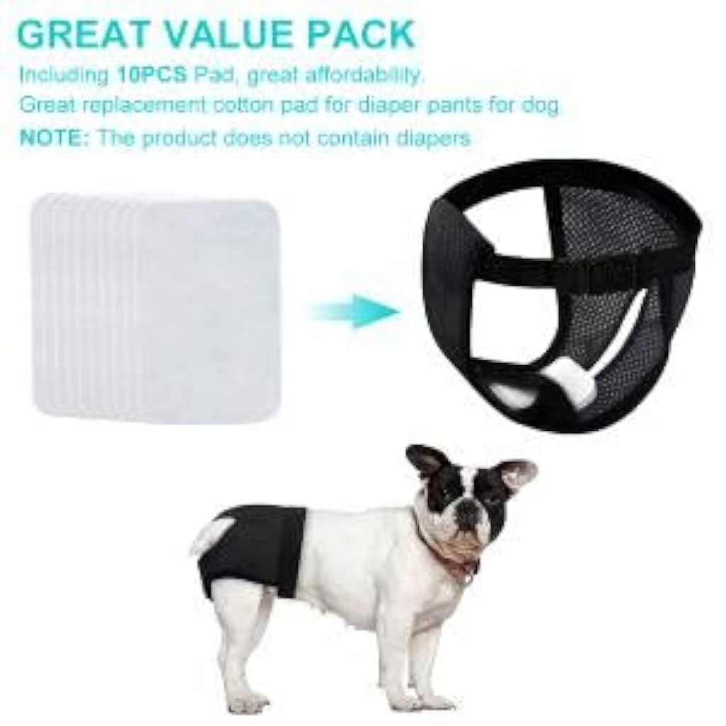 HASTHIP® Pañales Reutilizables para Perros Hembras Transpirables con 6 Almohadillas de Algodón Absorbentes, Ajuste Cómodo, Lavables y Suaves para Cachorros y Perros Adultos (L, Cintura 40