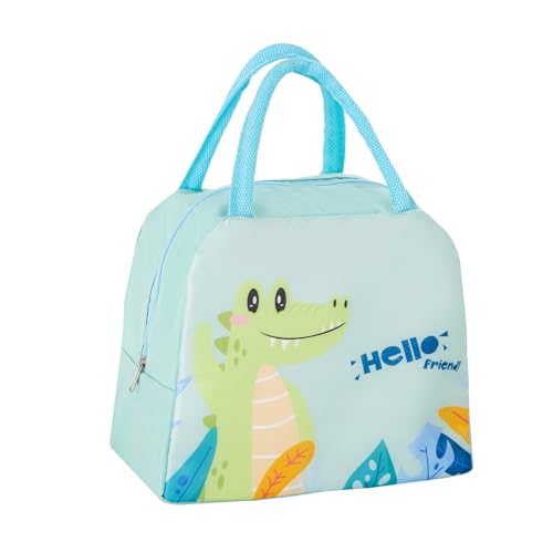 HASTHIP® New Insulated Lunch Bag