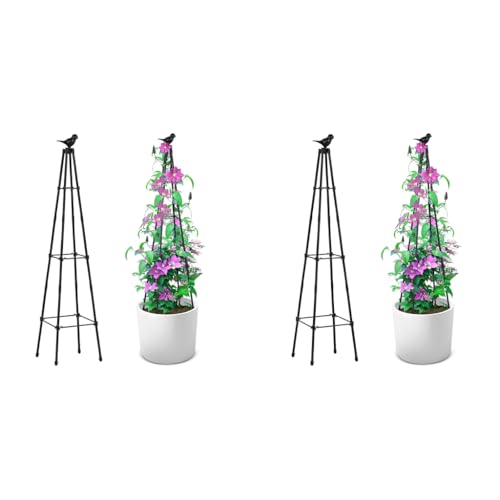HASTHIP® 120CM Trellis for Climbing Plants Plastic Climber Support Adjustable Triangle Creeper Sticks for Clematis Roses Ivy 2PCS