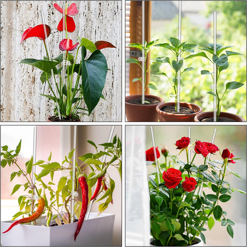 HASTHIP® 10Pcs Plant Support Sticks with 10 Plant Claw Clips 15.75 inches Acrylic Clear Plant Support Stakes Plant Stand Stakes for Planters, Flower Pots