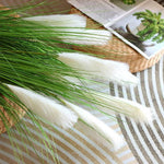 HASTHIP White Artificial Pampas Grass, 90 cm Decorative Stem with Five Fluffy Flowers for Vase Displays