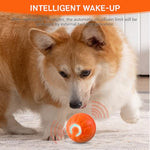 HASTHIP® Small Dog Ball, Dog Chew Toys, Rubber Toys for Dogs, Interactive Bouncing Dog Toy with Cool Lighting Ideal for Indoor and Outdoor (Relieves Anxiety, with USB Cable)