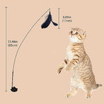 HASTHIP® Cat Toys, Cat Teaser Toy with Bell, Fixable Cat Interactive Toys with Suction Cup, Elastic Toys for Kittens, Persian Cat Toys and Feather Toys, Funny Cat Playing Toys for Indoor