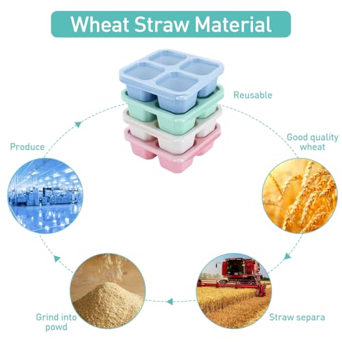 HASTHIP® 4 Pack Snack Containers, Divided Bento Snack Box, 4 Compartments Reusable Meal Prep Lunch Containers for Kids Adults, Food Storage Containers for School Work Travel