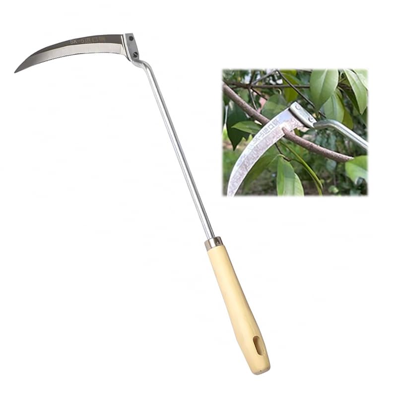 HASTHIP Grass Sickle Cutter Head for Weeding and Harvesting with 37cm Handle featuring Curved Stainless Steel Blade | Ergonomic Wooden Grip