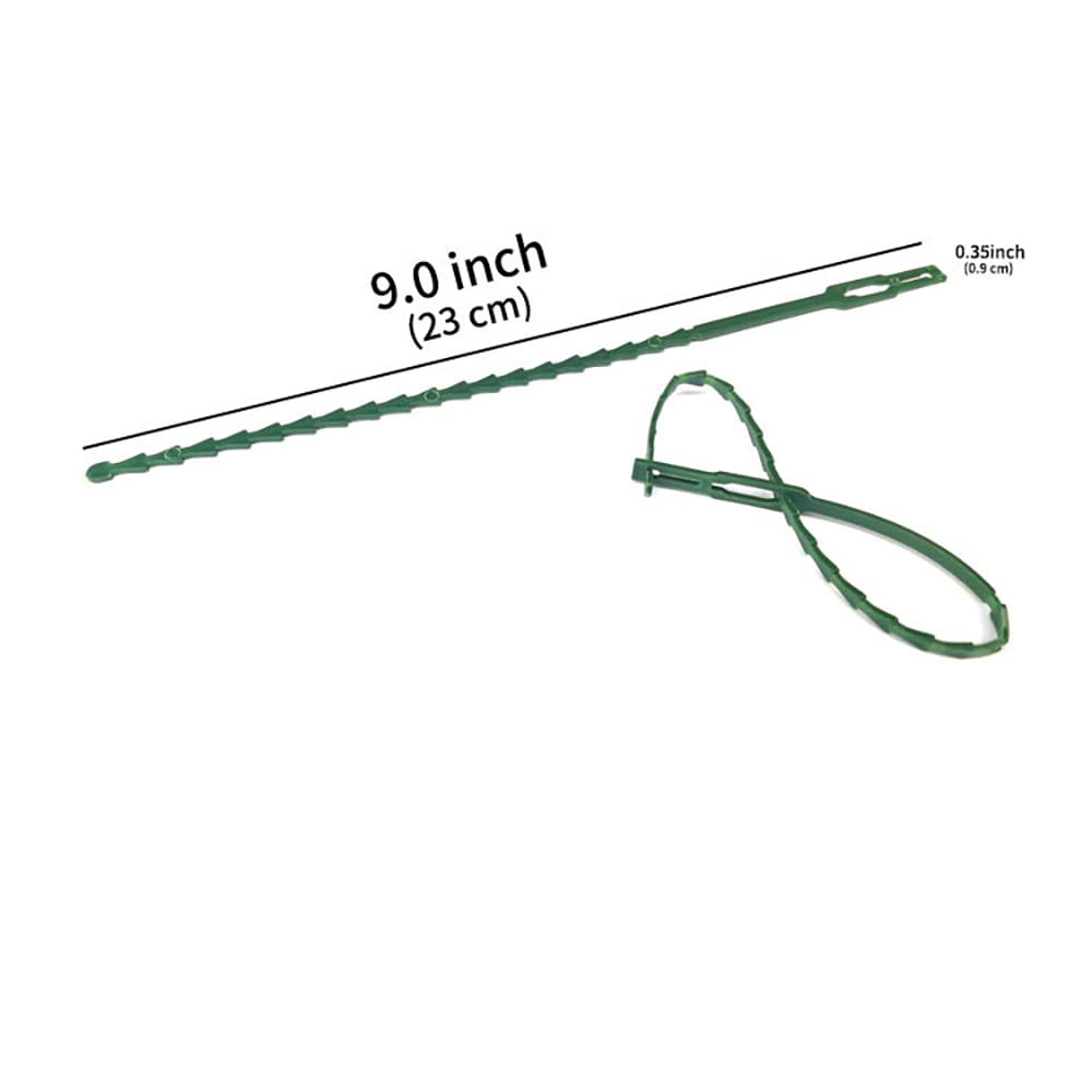 HASTHIP Plant Twist Ties 60pcs 23cm for Flowers and Tomato Support with Flexible PE Material