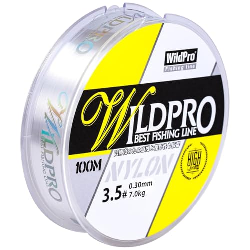 HASTHIP® Fishing Line, 109 Yards 0.3mm Fishing Wire, Clear Nylon Monofilament Super Strong 15.4lbs Abrasion Resistant High Stretch Fishing Line for Freshwater and Saltwater Angling