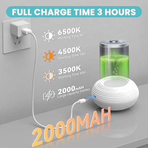 HASTHIP® 2Pcs Rechargeable LED Night Light, USB Magnetic Wall Lamp, 3 Color Dimmable Eye-Caring Bedside Lamp, Touch Control, Portable Reading Light for Kids Bedroom Nursery Wardrobe