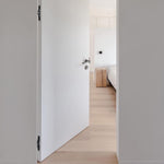 HASTHIP® 2Pcs Hidden Door Hinges for 20mm Thickness Door