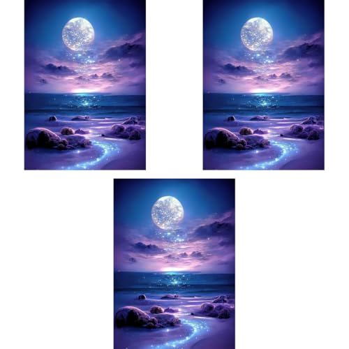 HASTHIP® DIY 5D Diamond Painting Art Kit Dreamy Beach Purple Moonlit Night Beginner for Home Decor No Frame Wall 12 x 16 Inch 3 PCS