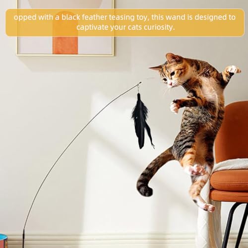 HASTHIP® Interactive Cat Toy Feather Teasing Toy, Flexible Teasing Wand Suction Cup Feathered Floor Teasing Wand Black Feather Teasing Toy