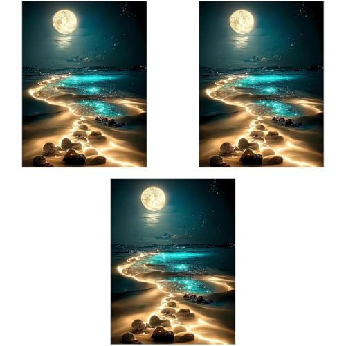 HASTHIP® DIY 5D Diamond Painting Art Kit Dreamy Beach Moonlit Night Beginner for Home Decor No Frame Wall 12 x 16 Inch 3 PCS