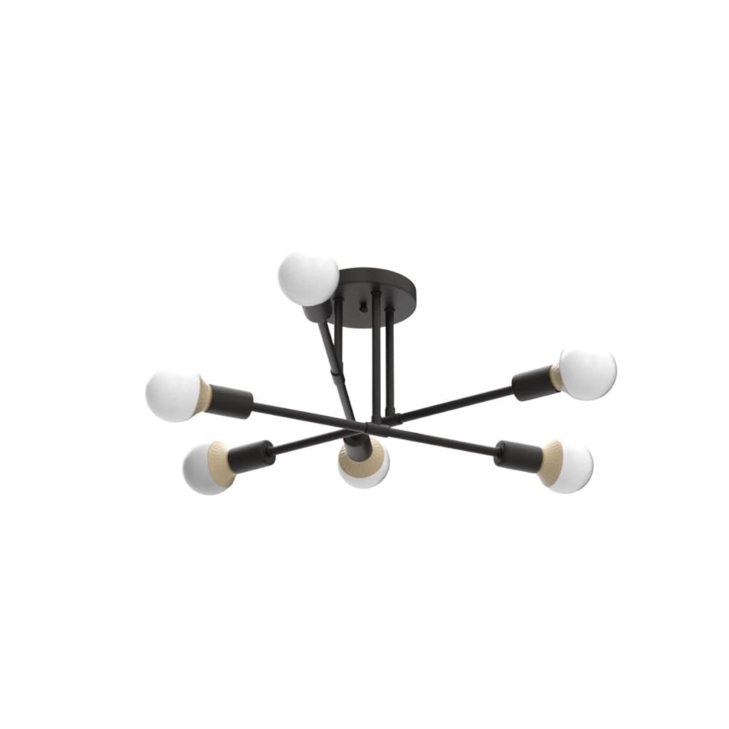 HASTHIP® Lámpara Colgante de 6 Luces para Salón,Luminaria Moderna de Metal,Candelabro Techo Industrial Compatible con Bombilla E27 (Sin Bombilla Eléctrica con Cable)