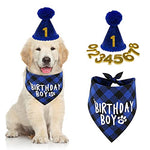 HASTHIP® Dog Gifts Hat for Birthday, Cute Dog Birthday Party Hat Dogs Bandana Birthday Party Supplies Set, Dog Bandana Square Scarf and Doggie Birthday Party Hat