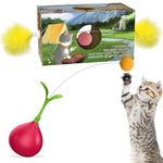 HASTHIP® Cat Toy, Fun Tumbler Feather Toy