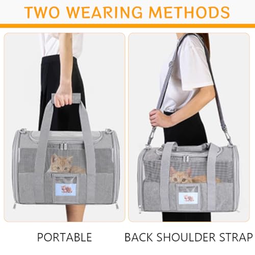 HASTHIP® Cat Carrier Bag, Breathable Cat Bag Mesh Pet Carrier, Multifunctional Folding Pet Carrier with Food Box & Handle & Shoulder Strap (43X30X28cm)