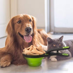 HASTHIP® Silicone Dog Food Scoop, 237ml Foldable Bowl Collapsible Scoop with Sealing Clip for Cat Dog, Portable Pet Food Scoop Feeding Scoop Food-Grade Materials Dog Food Bowl