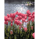 HASTHIP 40x50 cm Tulip Bouquet Paint by Numbers DIY Acrylic Canvas Kit for Adults and Children
